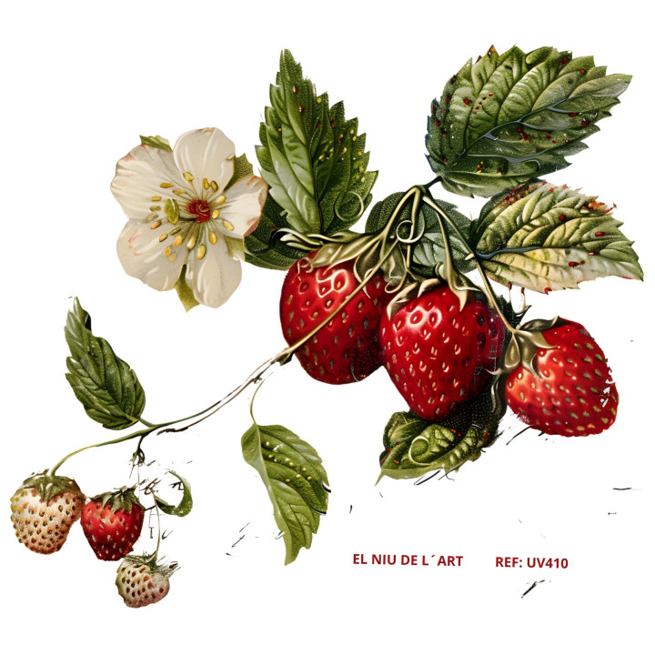 copy of 